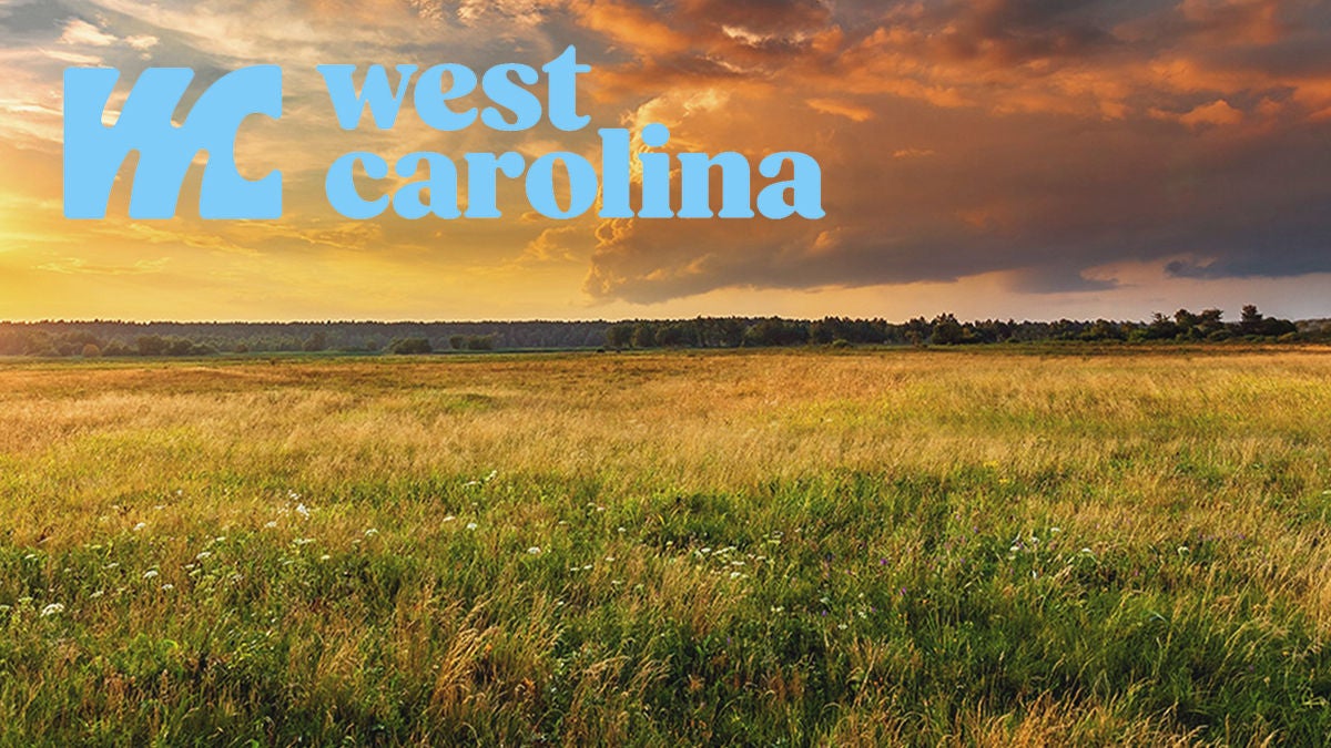 Sunrise on a field covered with flowers in morning with clouds