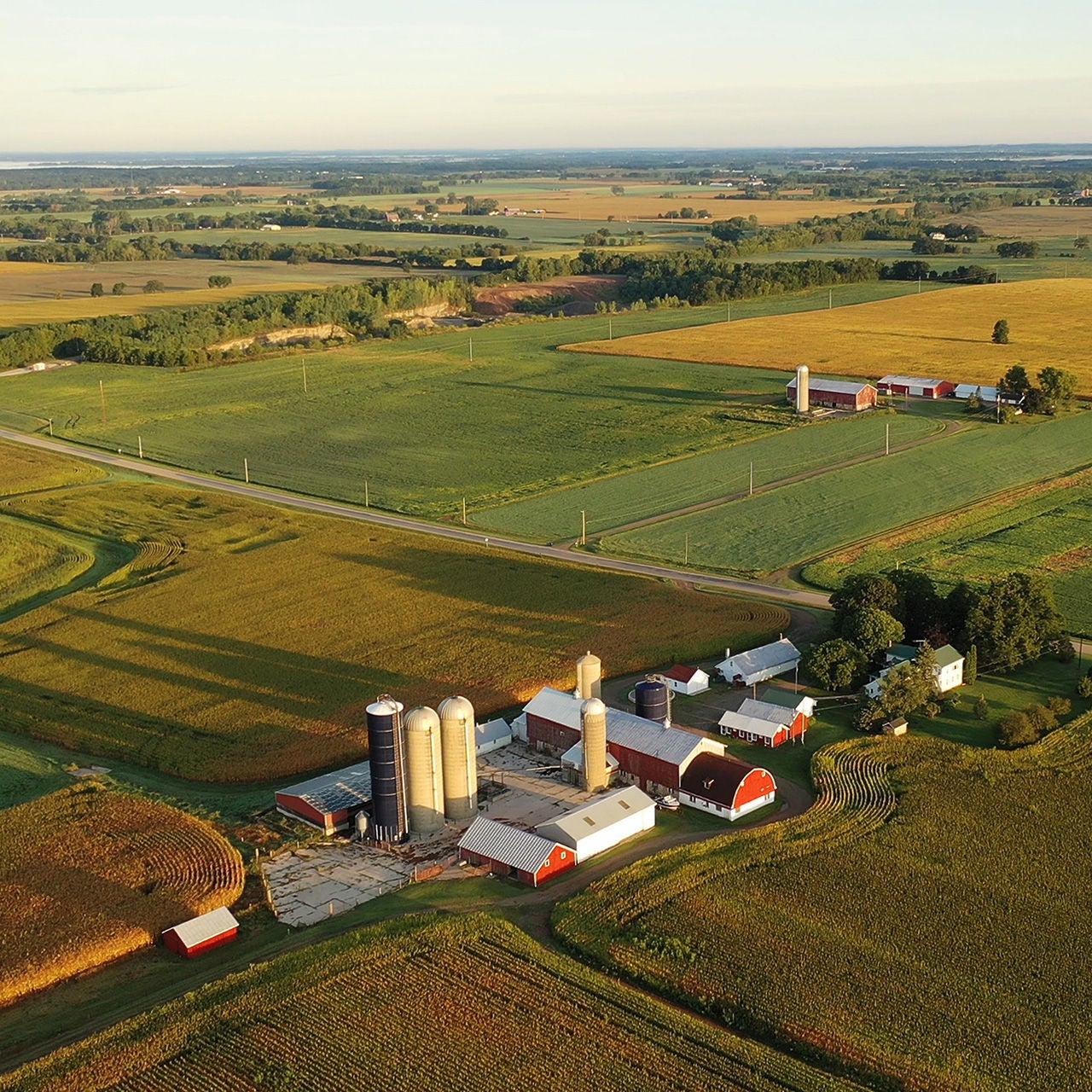 Aerial view of farmland