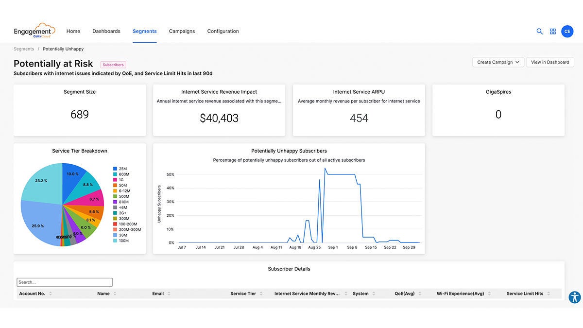Dashboard Showing Potentially At Risk Subscribers Data
