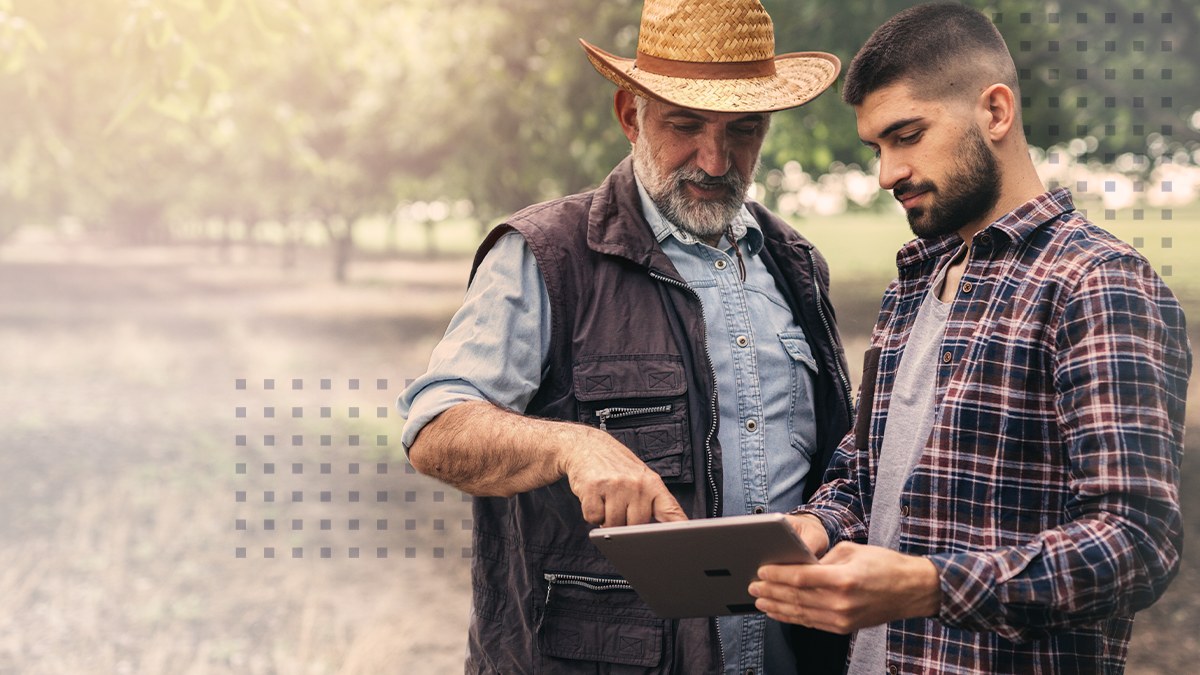 Farmers on field looking into smart device screen