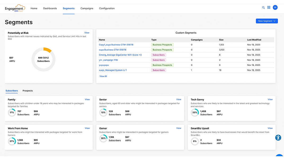Customer segmentation dashboard with subscriber analytics