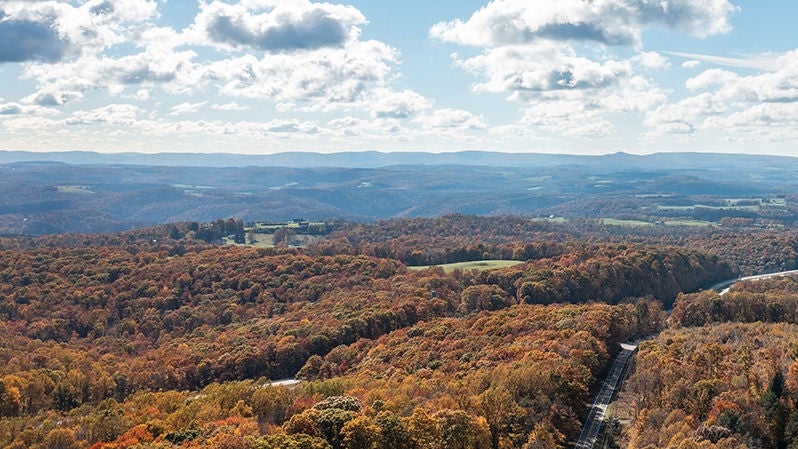 Aerial view of a beautiful autumn leaves in the valley 