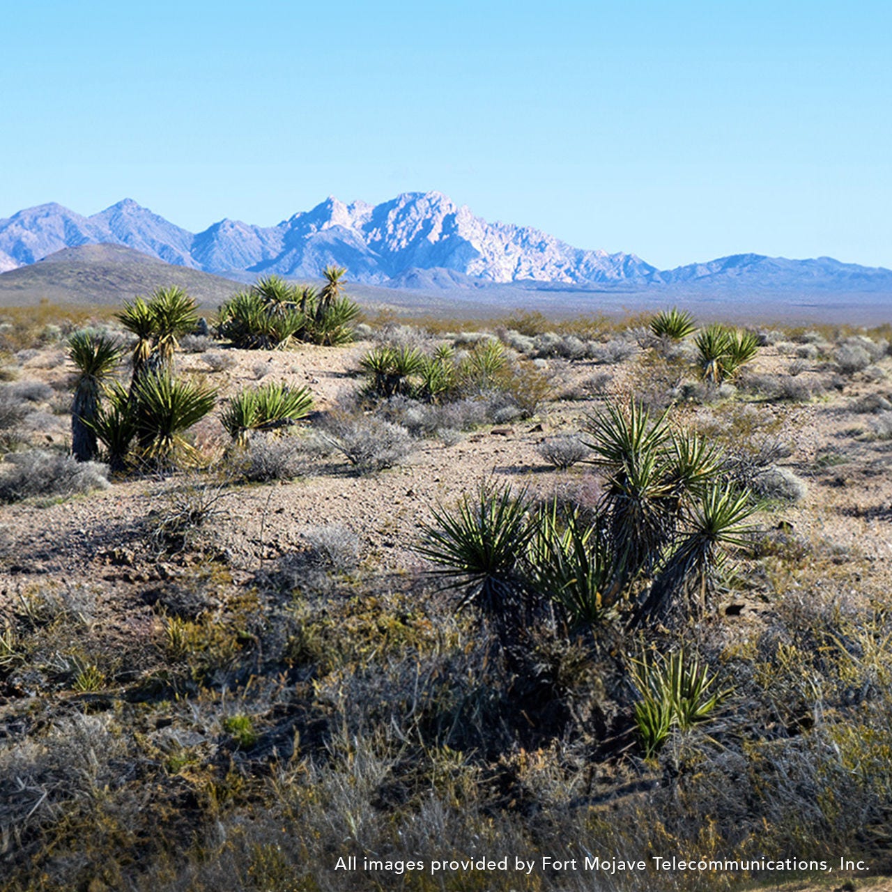 A desert landscape with mountains in the background