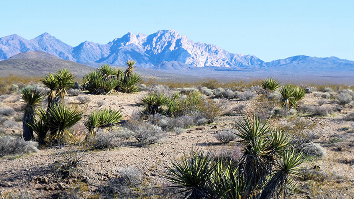 A desert landscape with mountains in the background