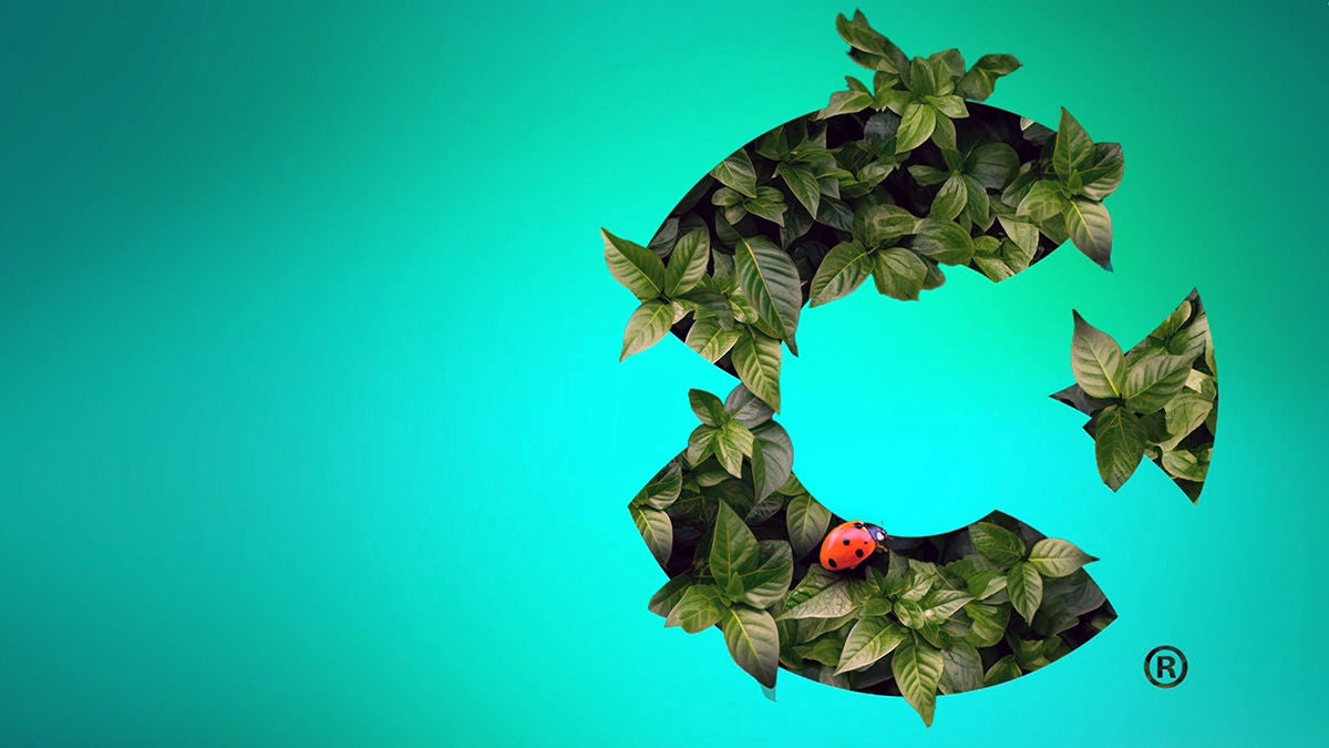 Abstract Calix C logo consisting of green leaves 