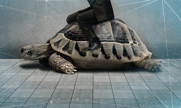 man riding turtle and indicating with finger in concrete, slow and steady growth concept