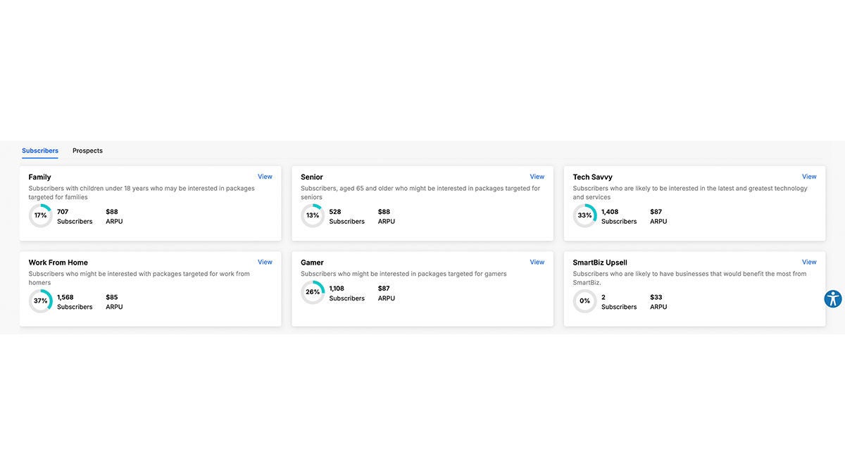 Dashboard Showing Subscriber Segments and Metrics Overview