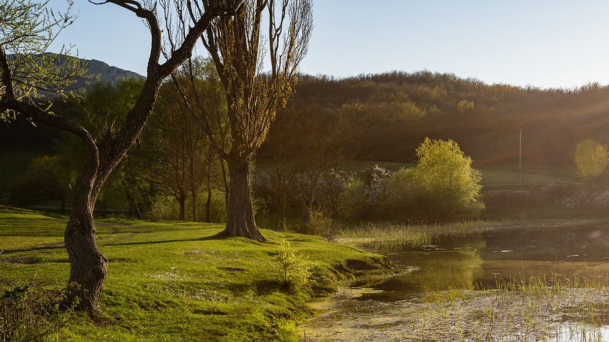 landscape of hills and pond