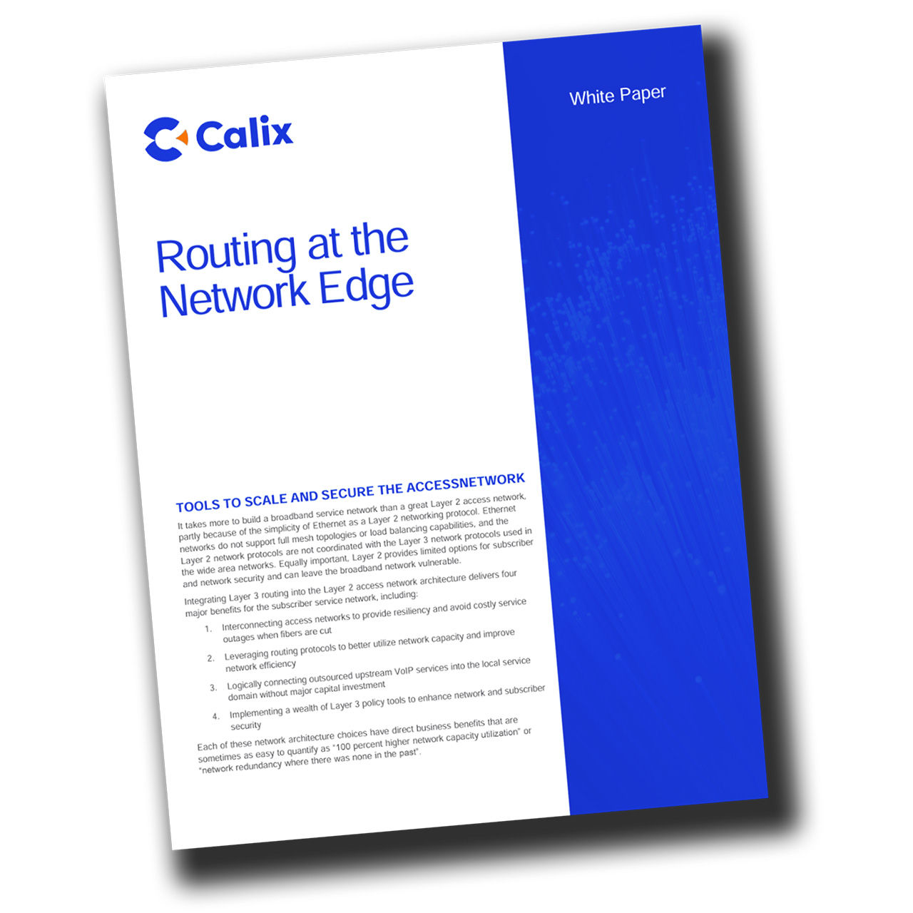 cover of white paper: Routing at the Network Edge